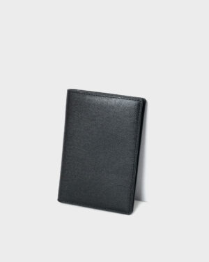 vi passport da taiga 11
